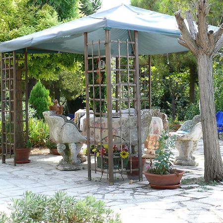 Bed&Breakfast Giardino Agritourist Controguerra Eksteriør billede