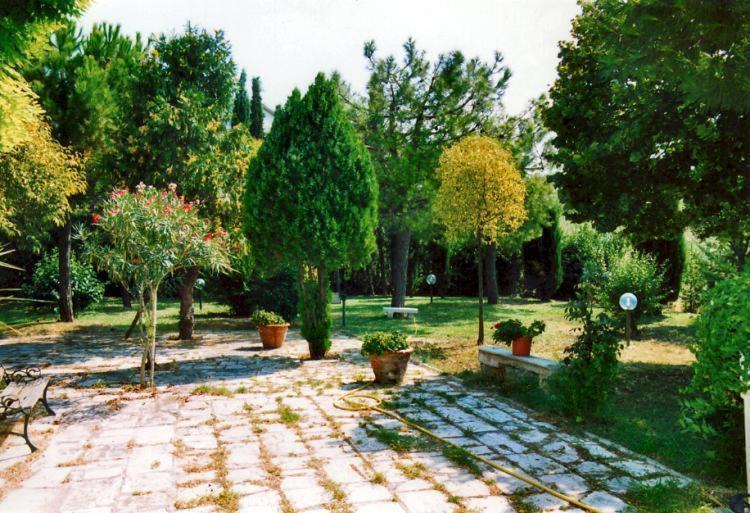 Bed&Breakfast Giardino Agritourist Controguerra Eksteriør billede