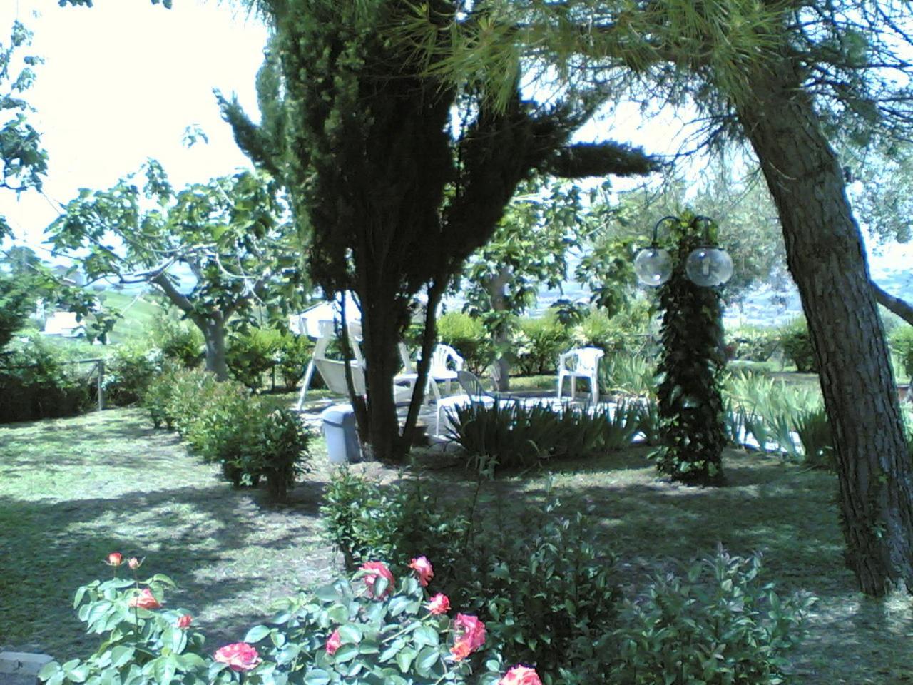 Bed&Breakfast Giardino Agritourist Controguerra Eksteriør billede